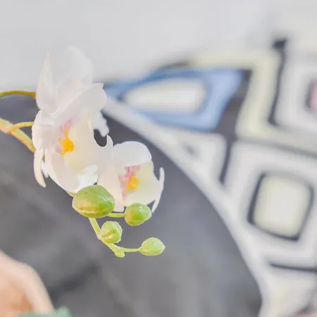 Cruz Centro Wifi Tranvia 10 Santa Cruz de Tenerife