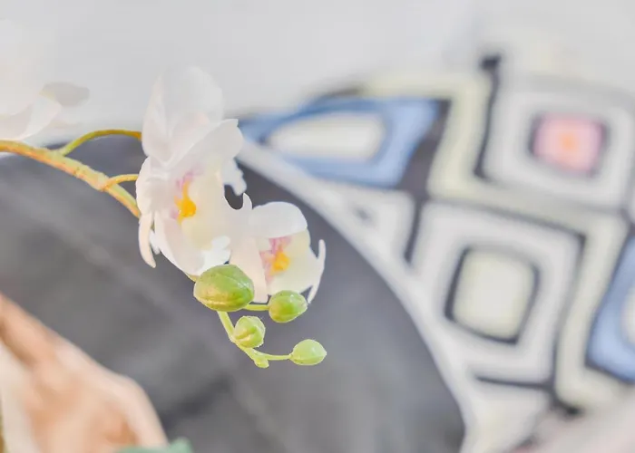 Cruz Centro Wifi Tranvia 10 Santa Cruz de Tenerife